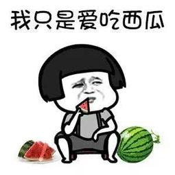 娱乐圈吃瓜的梗有哪些名字